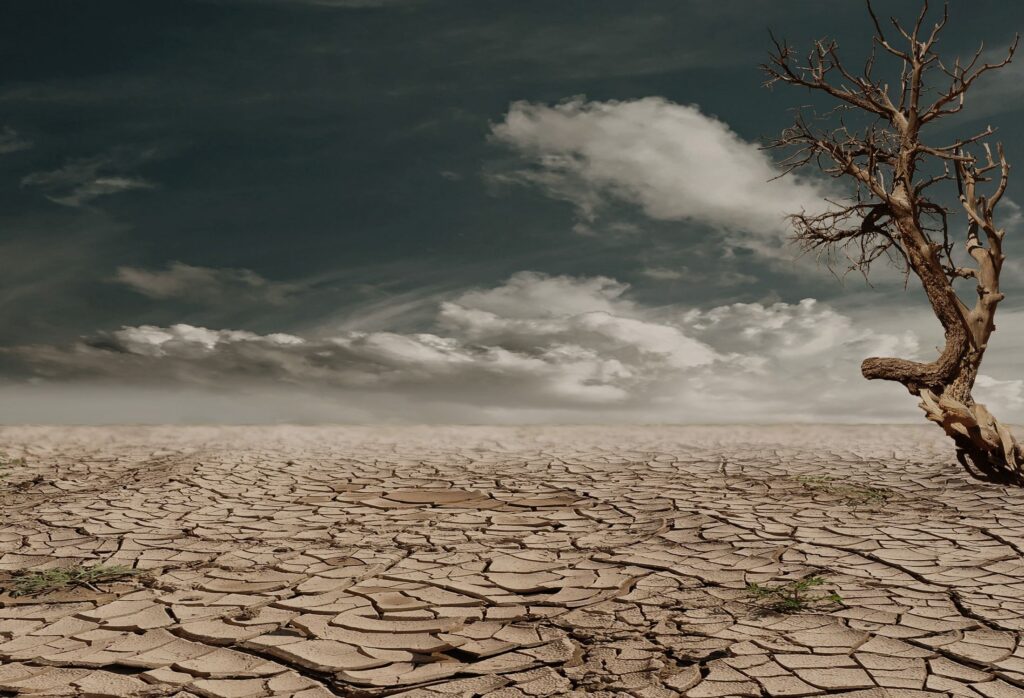 El Niño Impacts